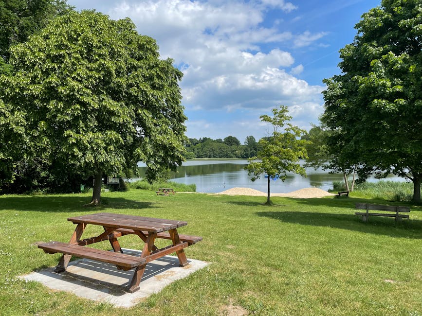 A sunny outdoor scene at Fryent Country Park showing a well-maintained grassy area with two large leafy trees providing shade. In the foreground, there is a wooden picnic table positioned on a concrete slab, with smooth, dark-stained wood and attached benches. Behind the table, a paved pathway leads towards the lake, which is visible beyond the trees. The lake has calm waters reflecting the partly cloudy blue sky and surrounding greenery, including a small young tree near the shoreline. On the grassy bank near the water, there are two small sand piles, possibly for recreational use. There are also two wooden benches along the pathway, one on the left and one on the right, offering seating with views of the lake and distant trees. The scene is bright and evenly lit, capturing a peaceful natural setting suitable for outdoor activities and leisure, with subtle references to the park environment as part of residential or community-moving contexts for Man with Van Kingsbury's house removals and furniture transport services.