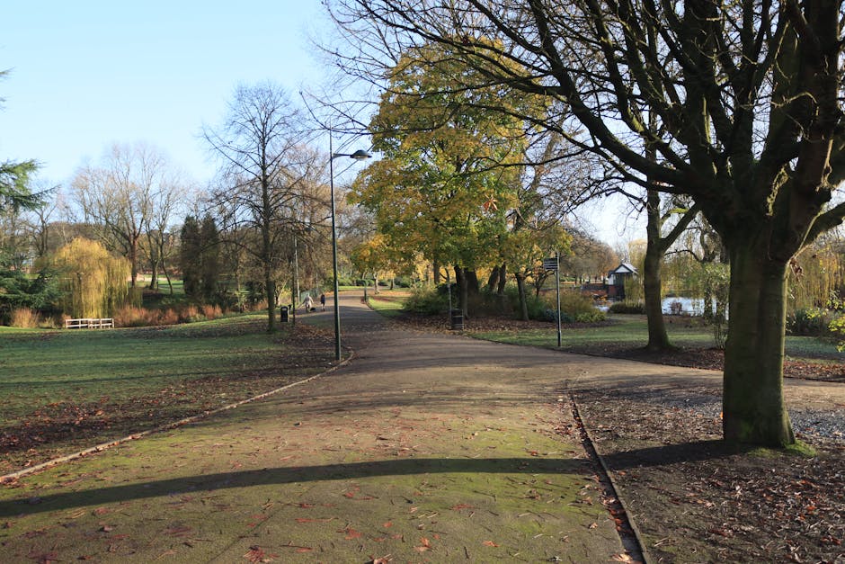 The image depicts a peaceful park pathway in Roe Green Park on a clear day with bright blue skies. The pathway is paved and gently curving, bordered by patches of grass and lined with mature trees that have mostly lost their leaves, indicating late autumn or early winter. Some trees have yellow and orange foliage, while others are bare. Several black lampposts are positioned along the path, providing lighting for visitors. In the background, a few people are seen walking along the pathway, and a small bridge or seating area is visible to the left, near a pond or water feature surrounded by more trees and shrubs. The environment appears calm and well-maintained, suitable for outdoor walking and relaxation. While there are no furniture, boxes, or moving equipment visible in the image, the scene’s natural surroundings and the well-kept path reflect the types of outdoor settings where home relocation or furniture transport planning might occur, as assisted by Man with Van Kingsbury occasionally involved in such services.