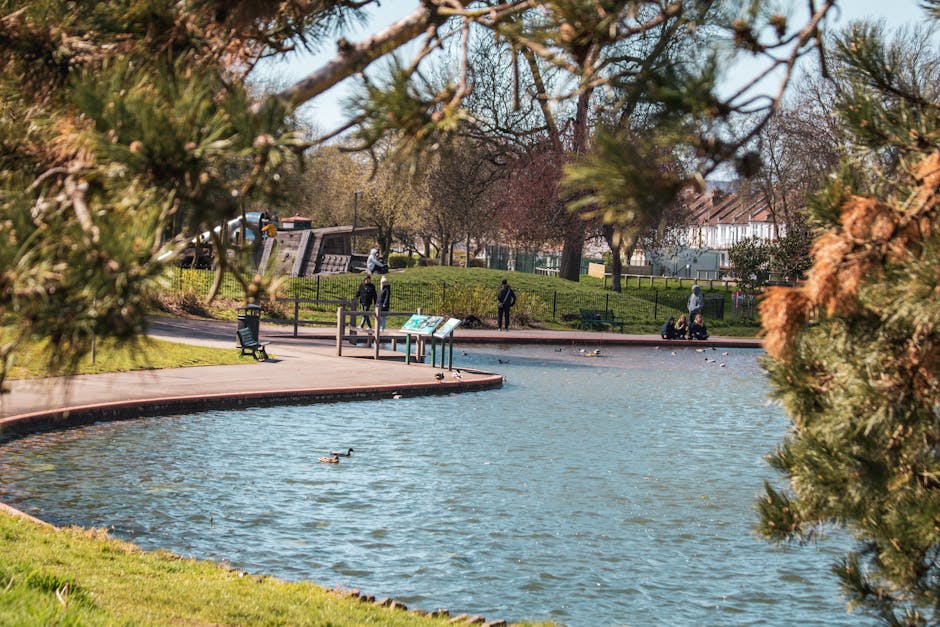 View of a park pond with a paved walkway running along its edge, surrounded by green grass and trees with partly bare branches. Several people are seen engaging in outdoor activities, including a man and a woman sitting on the bench near the water, a person walking along the pathway, and others standing or sitting further in the background. The scene is framed by overhanging pine branches in the foreground, partially obscuring the view. The weather is clear with bright natural light. This outdoor setting exemplifies a peaceful community park, often used for leisure activities and social gatherings, similar to environments where house removals and home relocation services by Man with Van Kingsbury might be relevant for residents in Roe Green Park, NW9.
