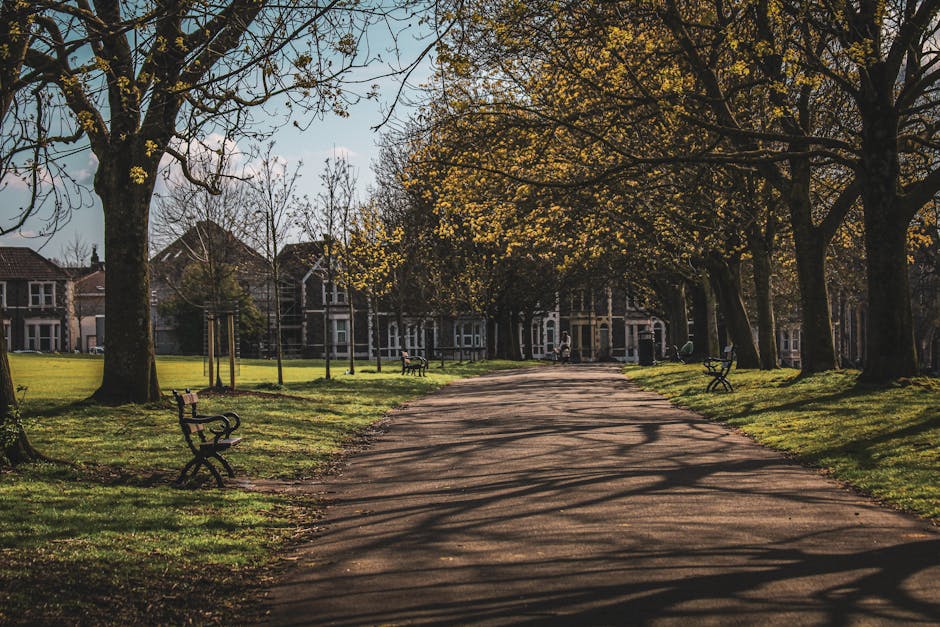 The image depicts a peaceful park pathway in Roe Green Park on a clear day with bright blue skies. The pathway is paved and gently curving, bordered by patches of grass and lined with mature trees that have mostly lost their leaves, indicating late autumn or early winter. Some trees have yellow and orange foliage, while others are bare. Several black lampposts are positioned along the path, providing lighting for visitors. In the background, a few people are seen walking along the pathway, and a small bridge or seating area is visible to the left, near a pond or water feature surrounded by more trees and shrubs. The environment appears calm and well-maintained, suitable for outdoor walking and relaxation. While there are no furniture, boxes, or moving equipment visible in the image, the scene’s natural surroundings and the well-kept path reflect the types of outdoor settings where home relocation or furniture transport planning might occur, as assisted by Man with Van Kingsbury occasionally involved in such services.